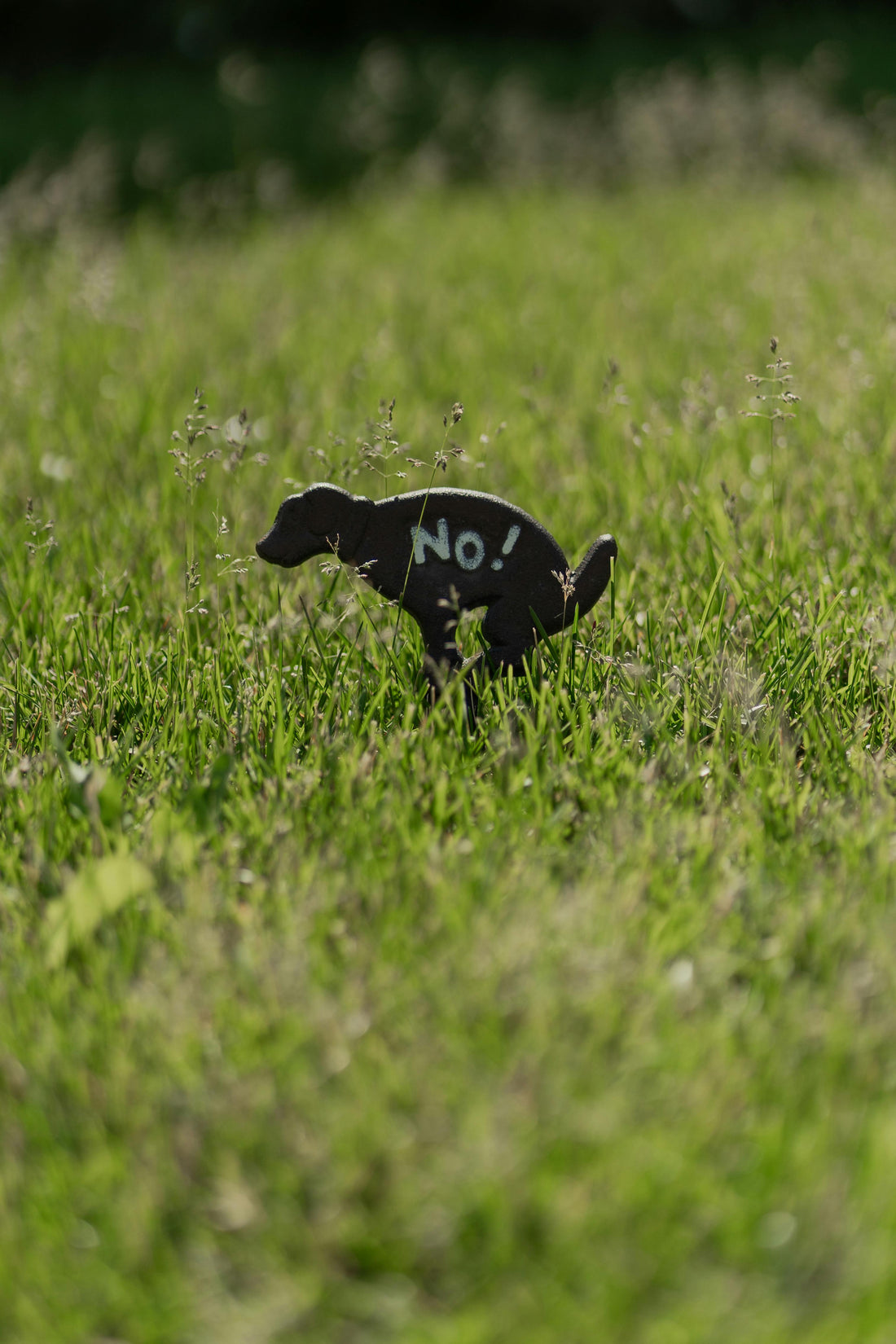 7 Mistakes Dog Owners Make When Cleaning Up Dog Waste