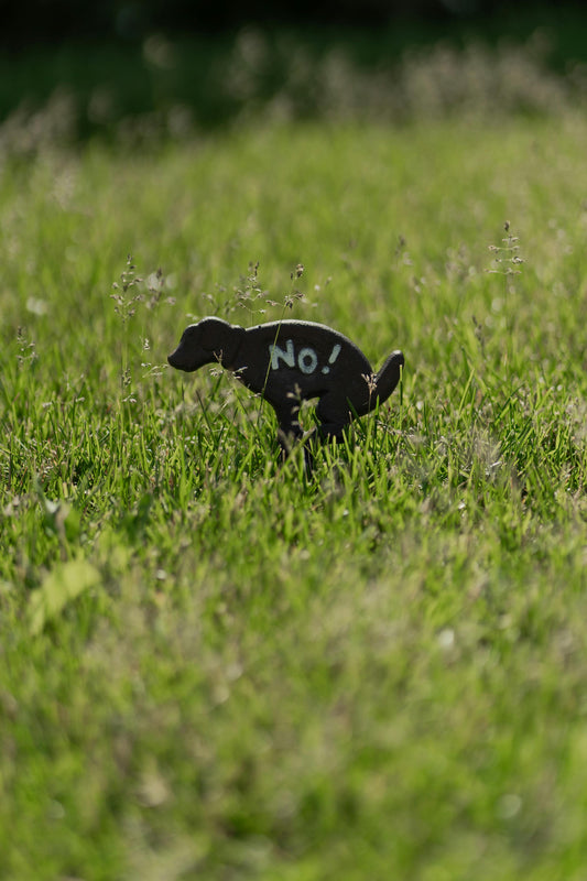 7 Mistakes Dog Owners Make When Cleaning Up Dog Waste